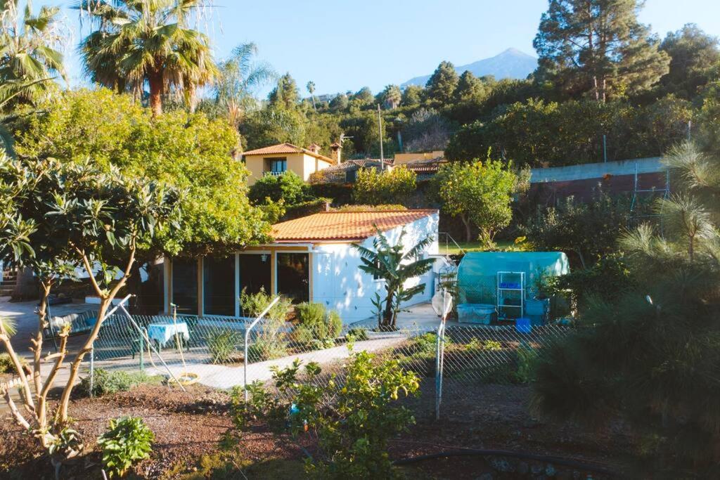 Casita Gopal Villa Icod De Los Vinos Eksteriør bilde