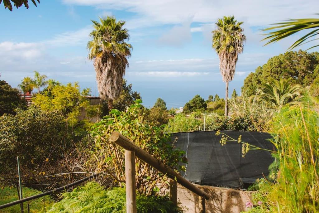 Casita Gopal Villa Icod De Los Vinos Eksteriør bilde